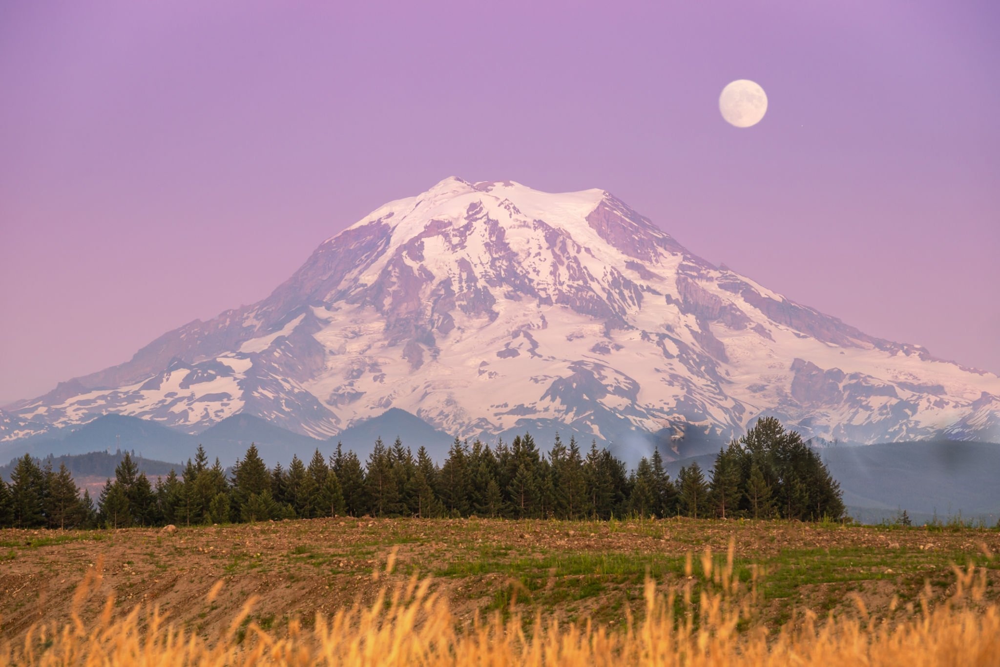 Puyallup Mountain View